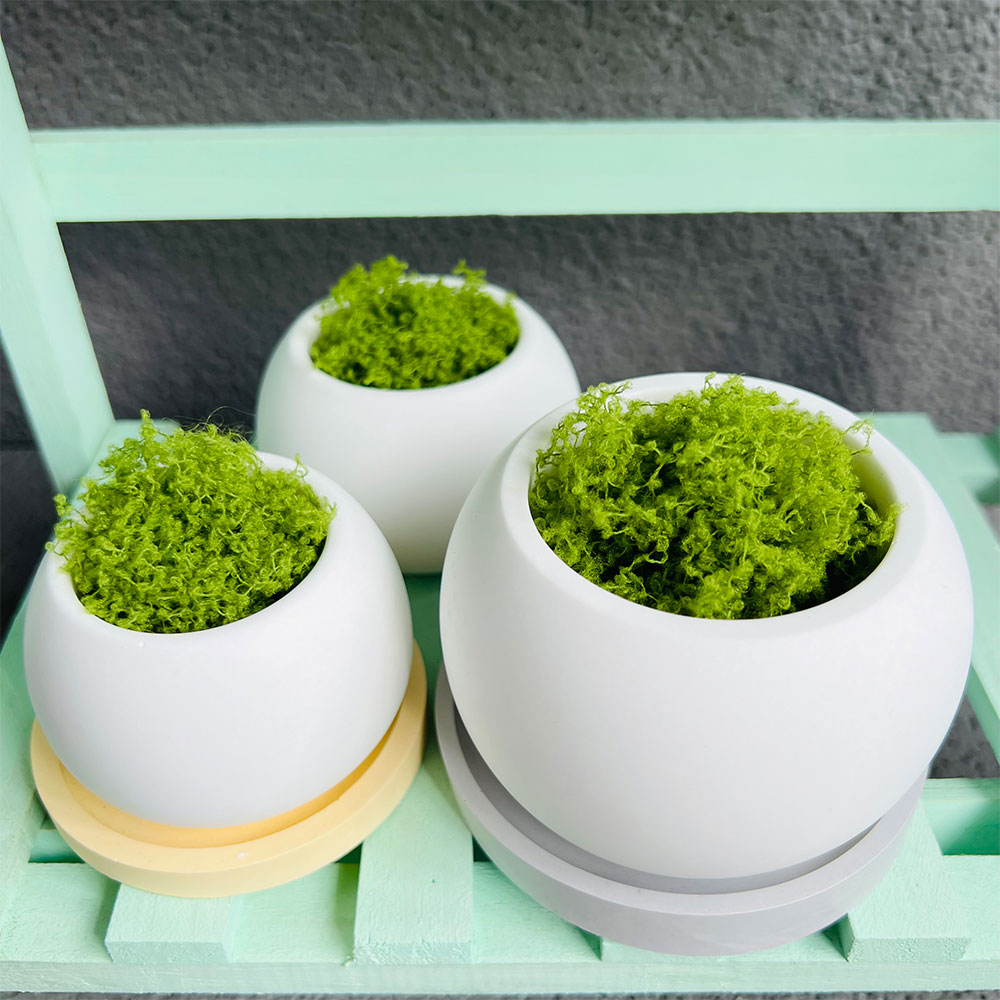 Bolvormige bloempot siliconen  - Potsticker Mold recensie en prijs