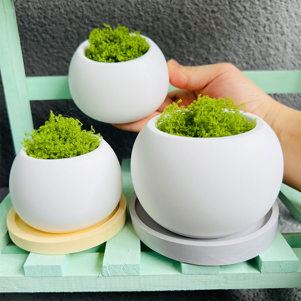 Bolvormige bloempot siliconen  - Potsticker Mold recensie en prijs