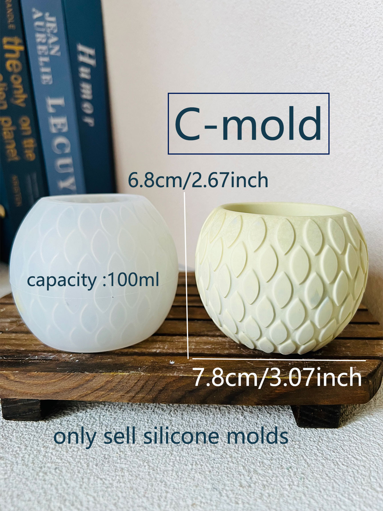 1 Stuk Vis Schaal Patroon Ceme - Potsticker Mold recensie en prijs